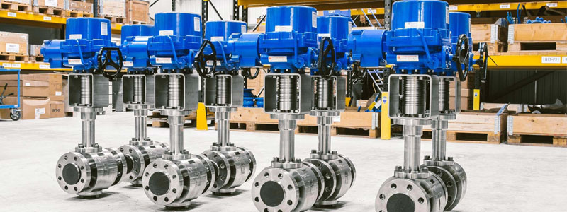 Food Grade Dairy Valves Manufacturer in India Food Grade Dairy Valves Manufacturer in India